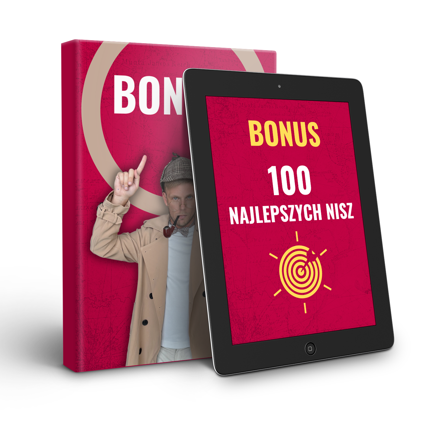 E-book: Nisza pod lupą