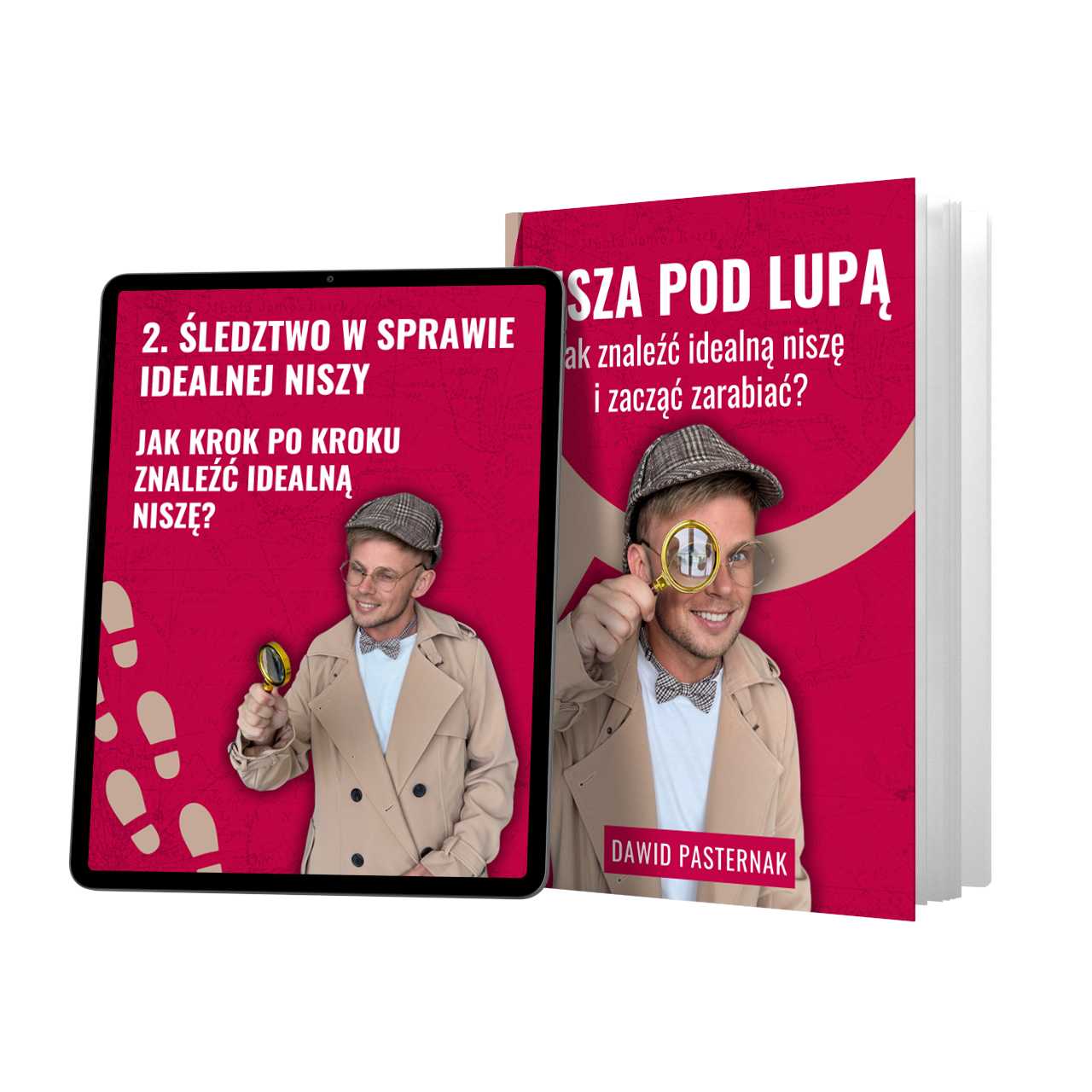 E-book: Nisza pod lupą
