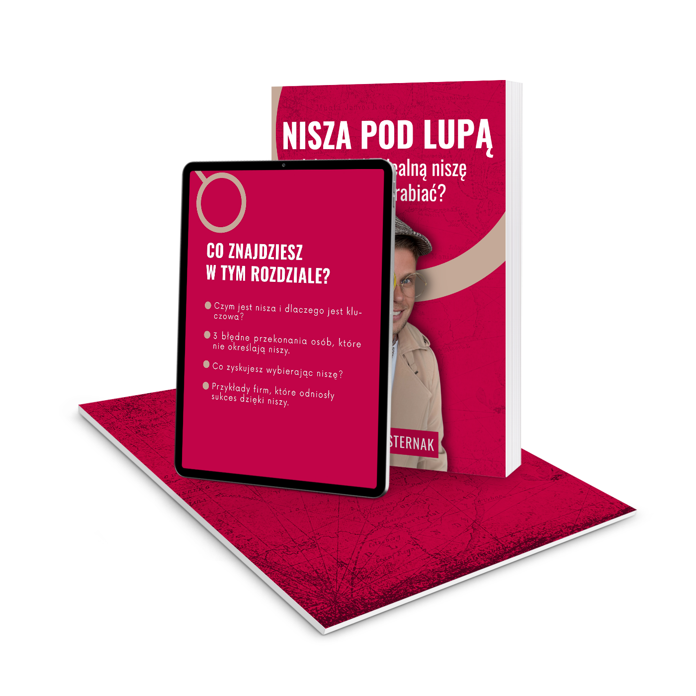 E-book: Nisza pod lupą