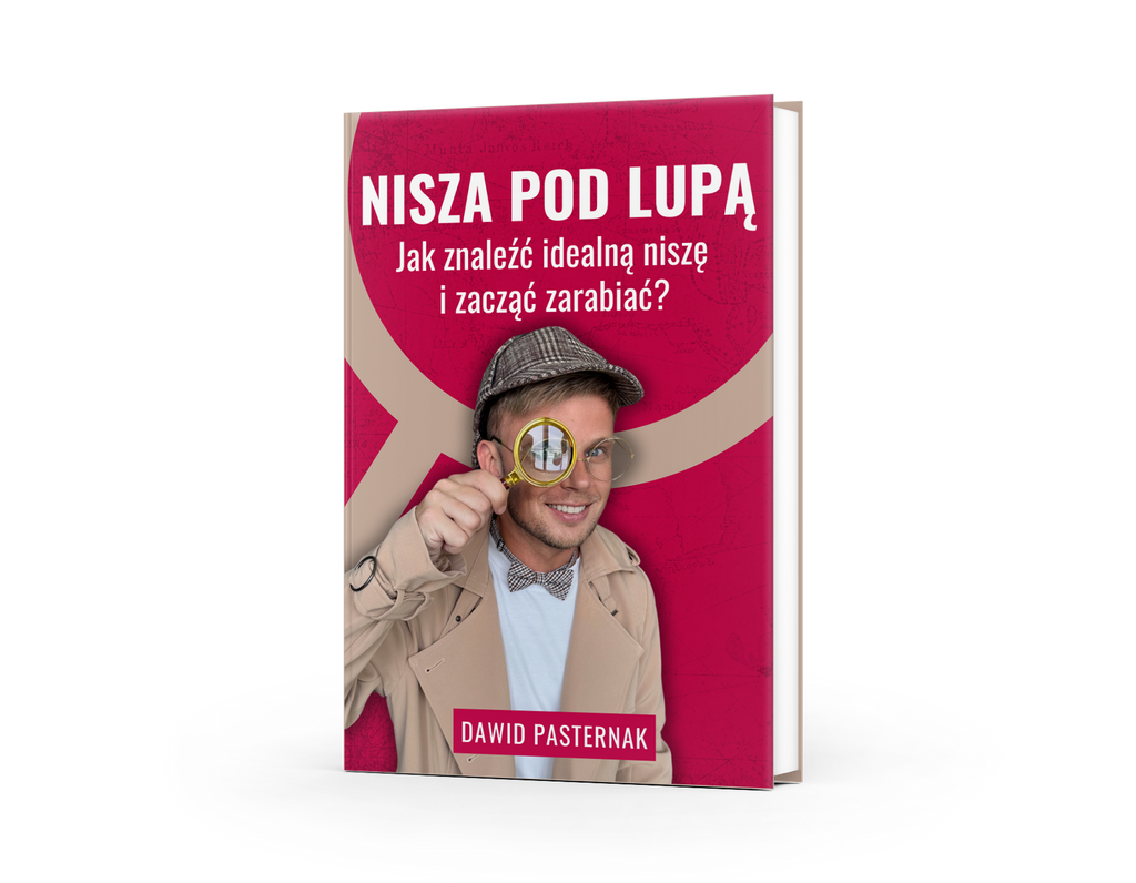 E-book: Nisza pod lupą